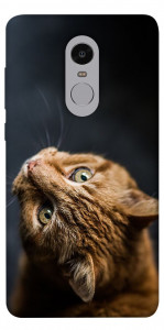 Чехол Рыжий кот для Xiaomi Redmi Note 4 (Snapdragon)