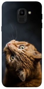 Чехол Рыжий кот для Galaxy J6 (2018)