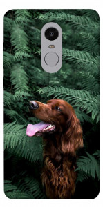 Чехол Собака в зелени для Xiaomi Redmi Note 4 (Snapdragon)