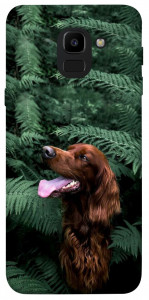 Чехол Собака в зелени для Galaxy J6 (2018)