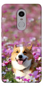 Чехол Корги в цветах для Xiaomi Redmi Note 4 (Snapdragon)