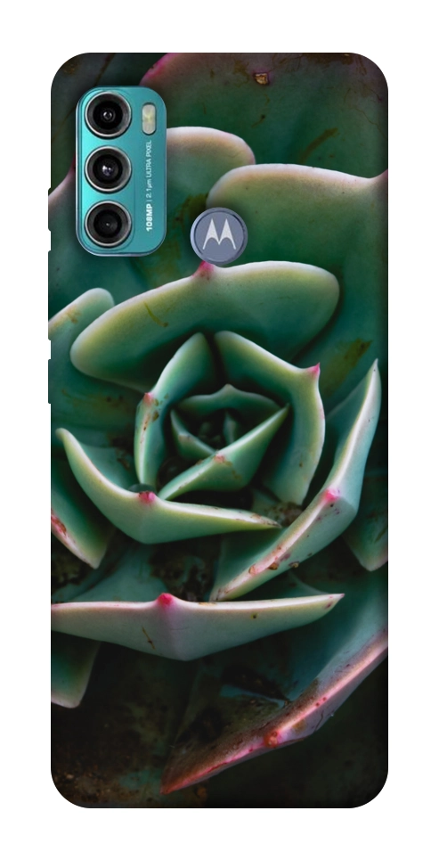 Чохол Ехеверія для Motorola Moto G60