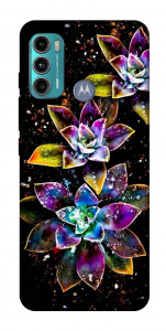 Чехол Flowers on black для Motorola Moto G60