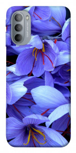Чехол Фиолетовый сад для Motorola Moto G31