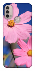 Чохол Рожева ромашка для Motorola Moto E40