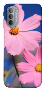 Чехол Розовая ромашка для Motorola Moto G31