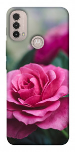 Чохол Троянда у саду для Motorola Moto E40