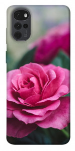 Чохол Троянда у саду для Motorola Moto G22