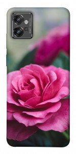 Чохол Троянда у саду для Motorola Moto G32