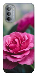 Чехол Роза в саду для Motorola Moto G31