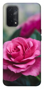 Чехол Роза в саду для Oppo A74 5G