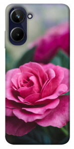 Чехол Роза в саду для Realme 10 4G