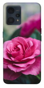 Чехол Роза в саду для Realme 9 Pro+