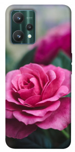 Чохол Троянда у саду для Realme 9 Pro