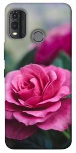Чохол Троянда у саду для Nokia G11 Plus