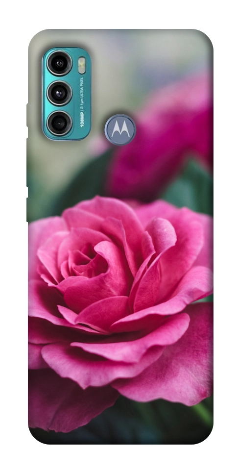 Чехол Роза в саду для Motorola Moto G60