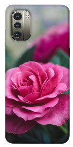 Чехол Роза в саду для Nokia G11