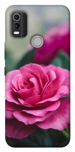 Чохол Троянда у саду для Nokia C21 Plus