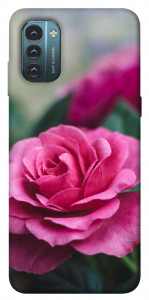 Чехол Роза в саду для Nokia G21