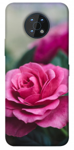 Чехол Роза в саду для Nokia G50