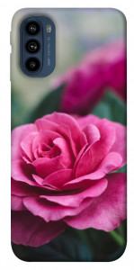 Чохол Троянда у саду для Motorola Moto G41