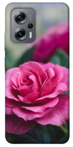 Чехол Роза в саду для Xiaomi Poco X4 GT