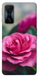 Чехол Роза в саду для Xiaomi Poco F4 GT