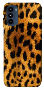 Чохол Леопардовий принт для Motorola Moto G41