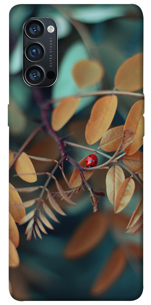 

Чохол Божа корівка для Oppo Reno 5 4G 1524656