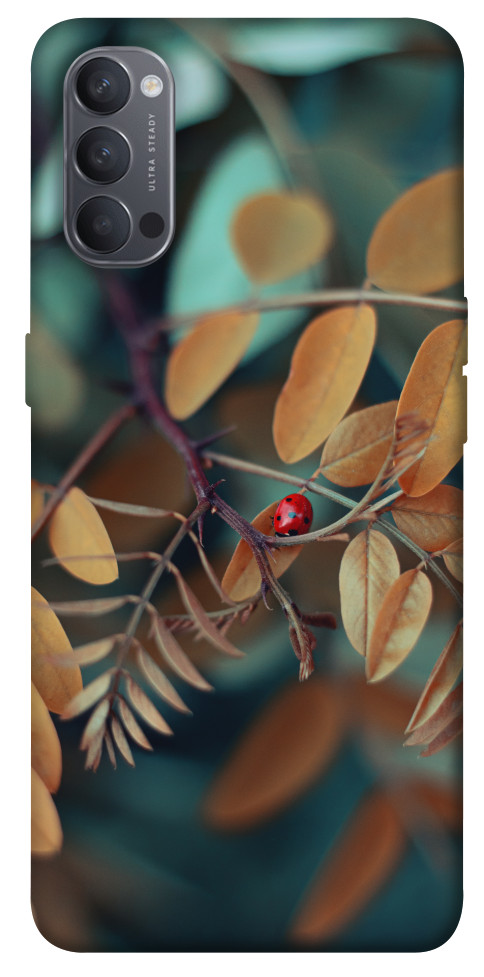 

Чохол Божа корівка для Oppo Reno 4 1524657