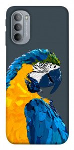 Чехол Попугай для Motorola Moto G31