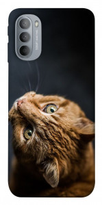 Чохол Рудий кіт для Motorola Moto G31