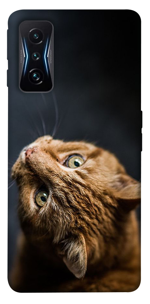 

Чехол Рыжий кот для Xiaomi Poco F4 GT 1525515