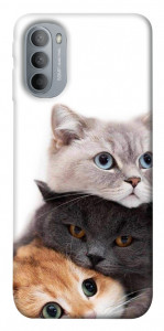 Чехол Три кота для Motorola Moto G31