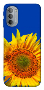 Чохол Sunflower для Motorola Moto G31