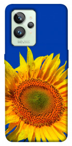 Чехол Sunflower для Realme GT2