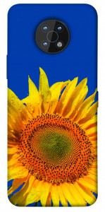 Чохол Sunflower для Nokia G50