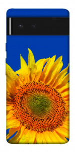 Чехол Sunflower для Google Pixel 6