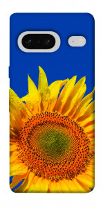 Чехол Sunflower для Google Pixel 7