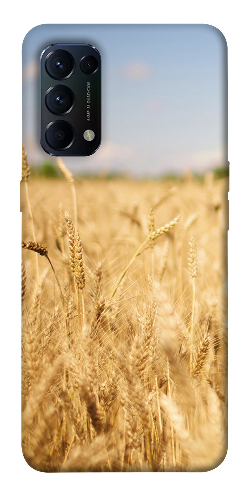 Чохол Поле пшениці для Oppo Reno 5 4G