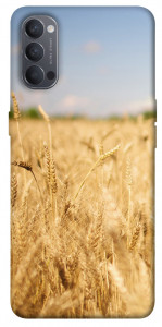Чохол Поле пшениці для Oppo Reno 4