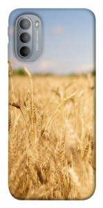 Чохол Поле пшениці для Motorola Moto G31