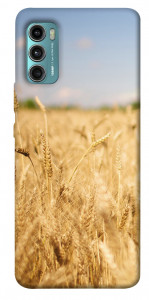 Чехол Поле пшеницы для Motorola Moto G60