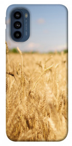 Чохол Поле пшениці для Motorola Moto G41
