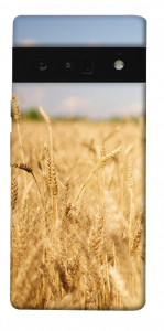 Чохол Поле пшениці для Google Pixel 6 Pro