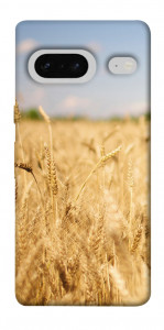 Чехол Поле пшеницы для Google Pixel 7