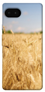 Чехол Поле пшеницы для Google Pixel 7A