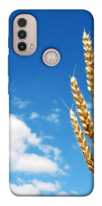 Чехол Пшеница для Motorola Moto E40