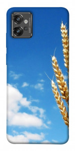 Чехол Пшеница для Motorola Moto G32