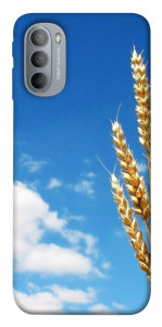 Чехол Пшеница для Motorola Moto G31